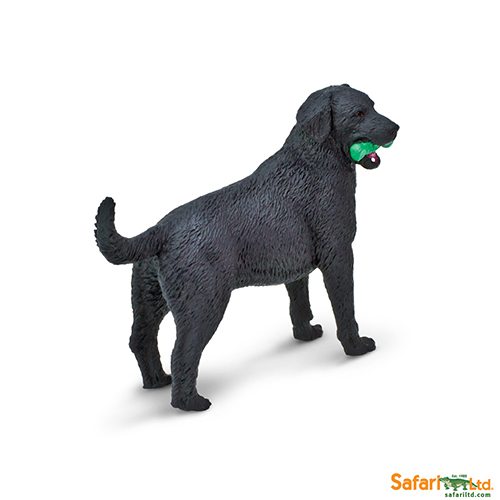 Safari Ltd Best in Show Dogs Black Labrador – Pret-A- Play