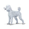 Safari Ltd Best In Show Dogs Poodle