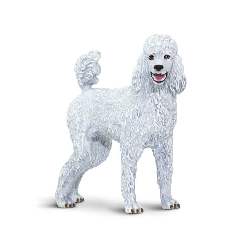 Safari Ltd Best In Show Dogs Poodle