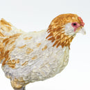 Safari Ltd  Farm Ameraucana Chicken