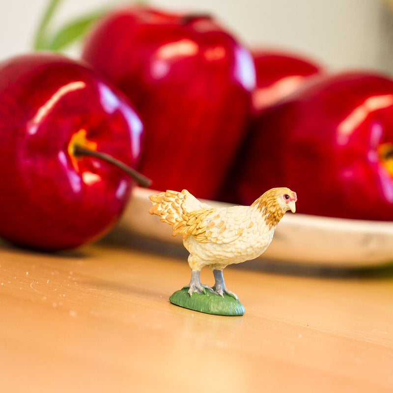 Safari Ltd  Farm Ameraucana Chicken