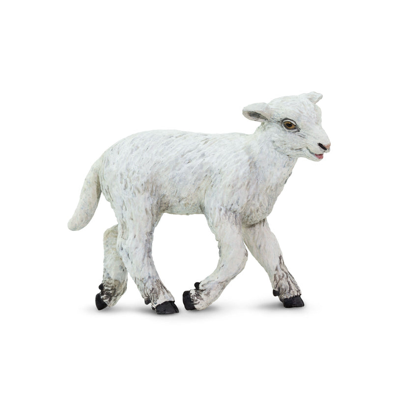 Safari Ltd Farm Lamb