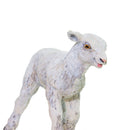 Safari Ltd Farm Lamb