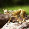 Safari Ltd Wildlife Serval