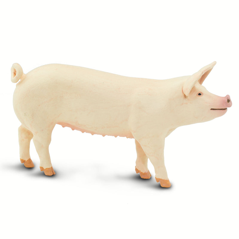 Safari Ltd White Pig