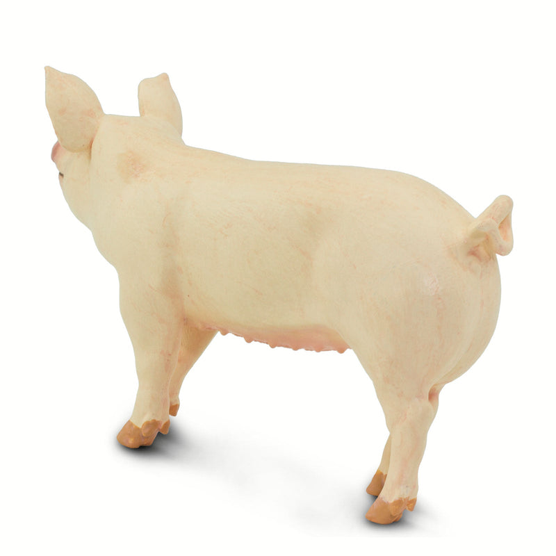 Safari Ltd White Pig