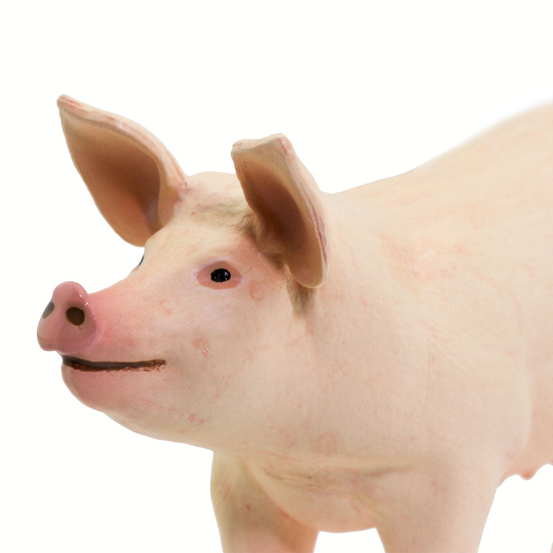 Safari Ltd White Pig