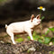 Safari Ltd White Pig