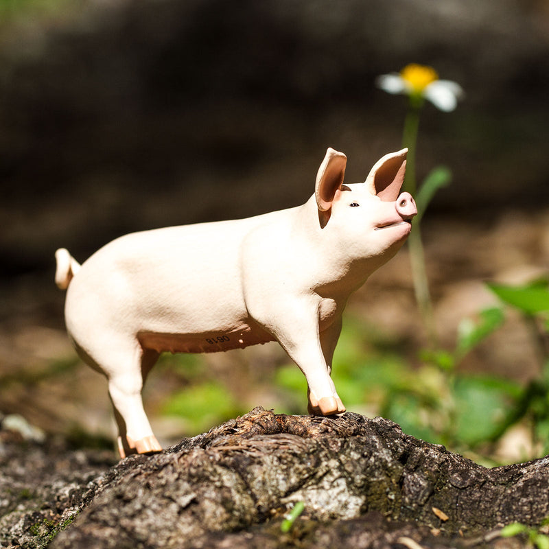 Safari Ltd White Pig