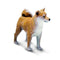 Safari Ltd Dog Shiba Inu