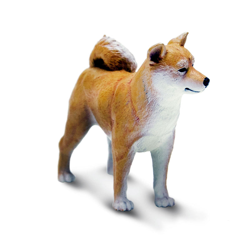 Safari Ltd Dog Shiba Inu