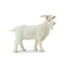 Safari Ltd Farm Billy Goat