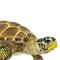 Safari Ltd Sea Life Loggerhead Turtle