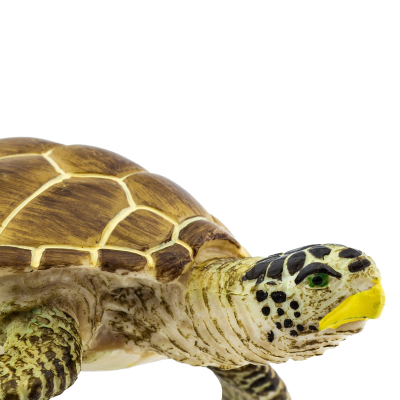 Safari Ltd Sea Life Loggerhead Turtle