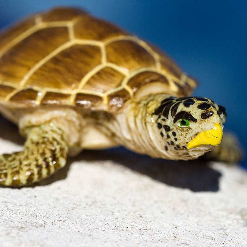 Safari Ltd Sea Life Loggerhead Turtle
