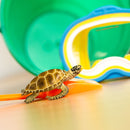 Safari Ltd Sea Life Loggerhead Turtle