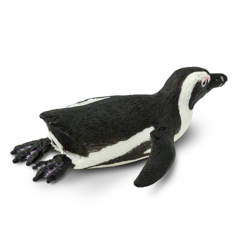 Safari Ltd Sea Life South African Penguin