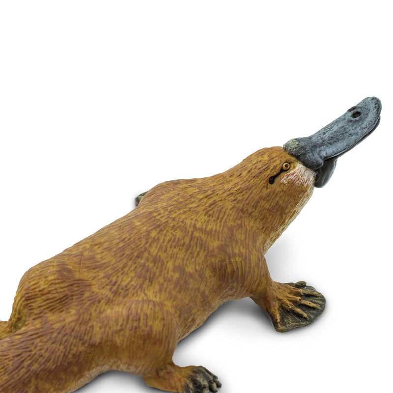 Safari Ltd Wildlife Platypus