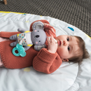 Taf Toys Kimmy the Koala