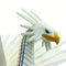 Safari Ltd Dragon Freedom