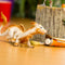 Safari Ltd Dragon Good Luck