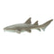 Safari Ltd Sea Life Nurse Shark