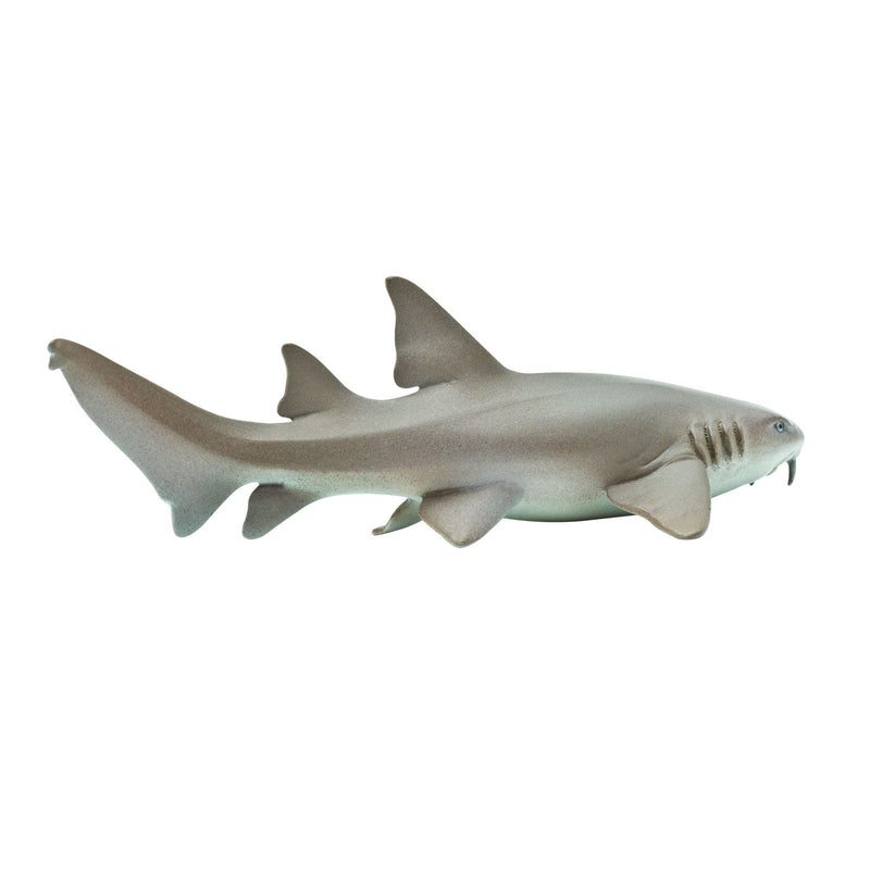 Safari Ltd Sea Life Nurse Shark