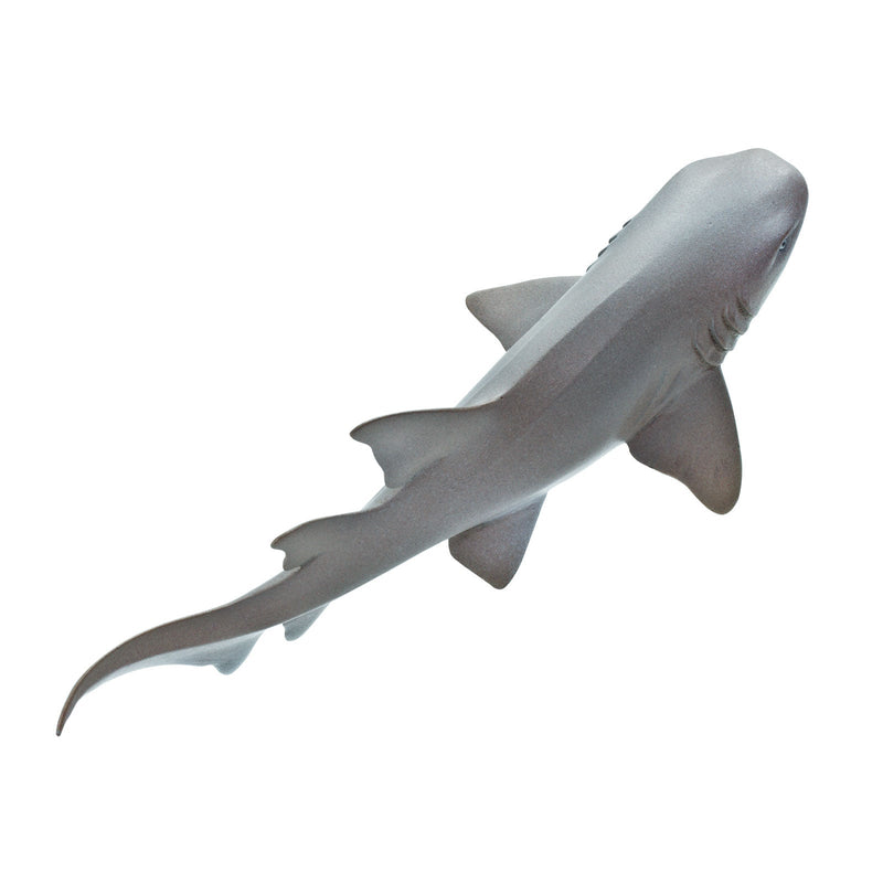 Safari Ltd Sea Life Nurse Shark