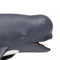 Safari Ltd Sea Life Pilot Whale