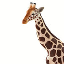 Safari Ltd Wildlife Giraffe