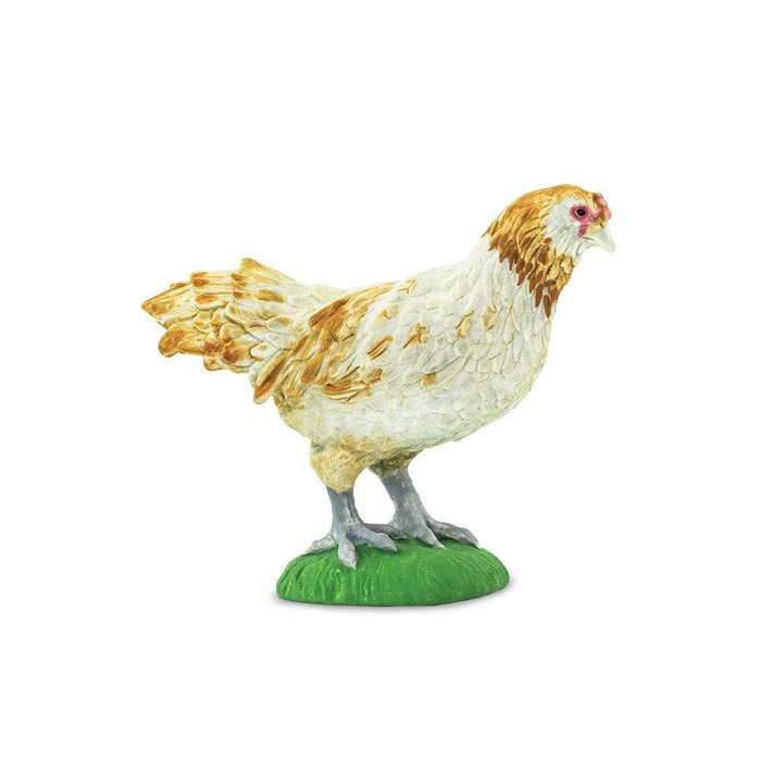 Safari Ltd  Farm Ameraucana Chicken