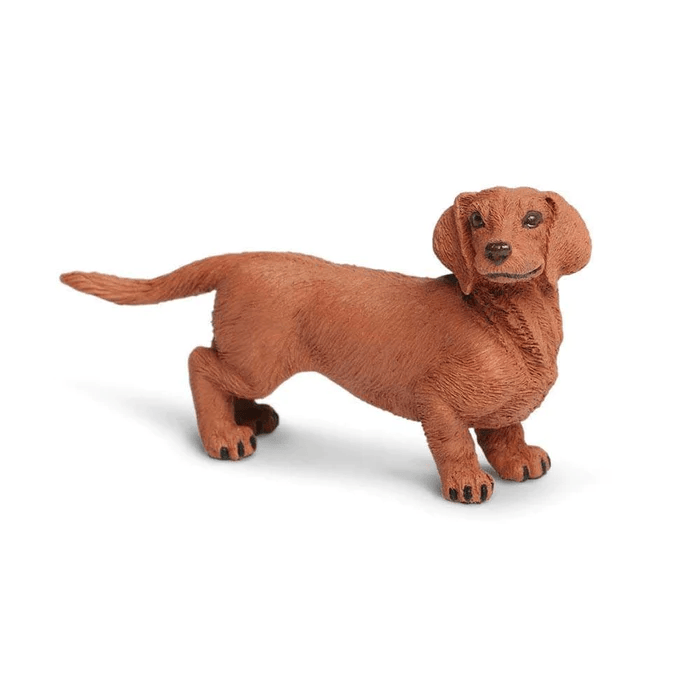 Safari Ltd Dog Dachshund