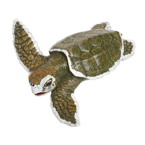 Safari Ltd Sea Life Turtle Kemps Ridley Sea Turtle Baby