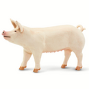 Safari Ltd White Pig