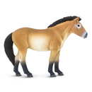 Safari Ltd Przewalskis Horse