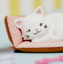 Lottie Accessory Set Pandora The Persian Cat