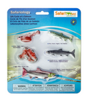 Safari Ltd Safariology Life Cycle Of A Salmon