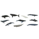 Safari Ltd Toob Whales
