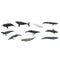 Safari Ltd Toob Whales