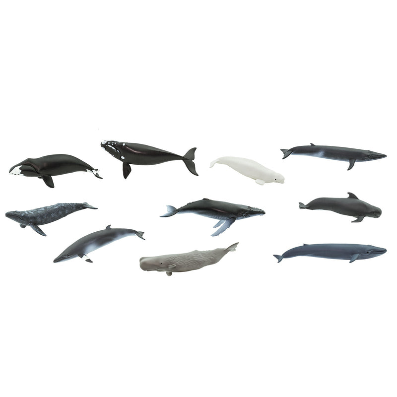 Safari Ltd Toob Whales