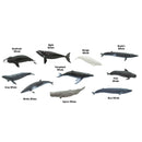 Safari Ltd Toob Whales