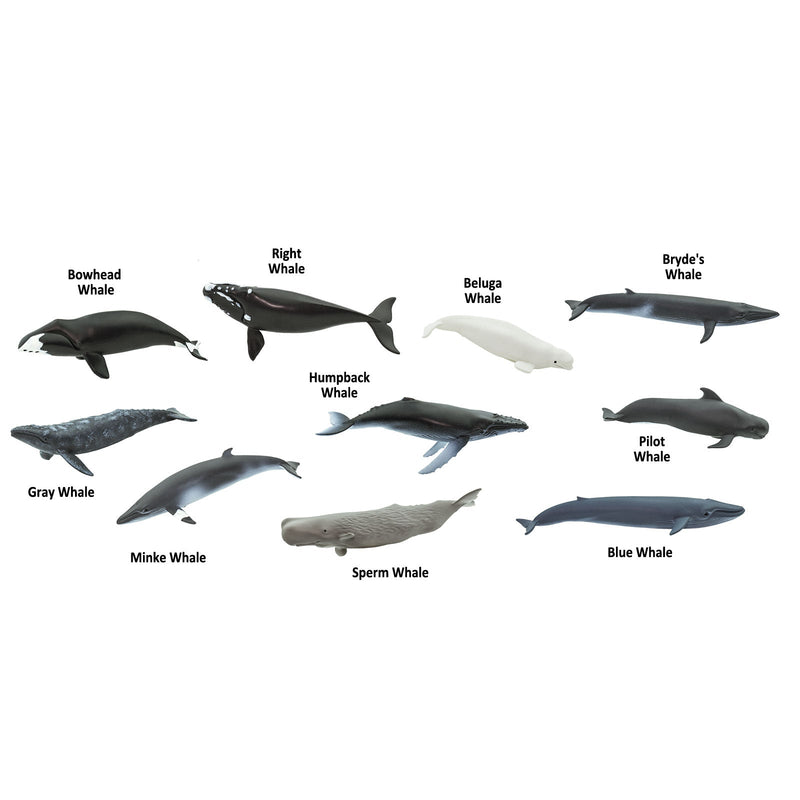 Safari Ltd Toob Whales