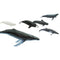Safari Ltd Toob Whales