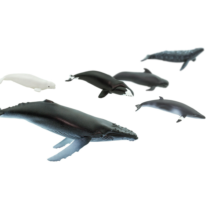 Safari Ltd Toob Whales