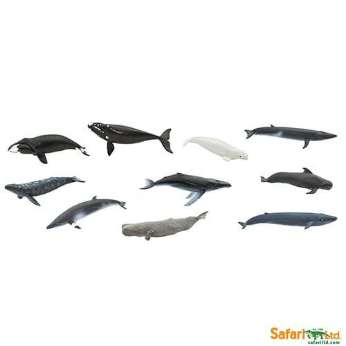Safari Ltd Whales Toob 100072 can be purchased online and in any of our toy shops in South Africa