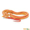 Safari Ltd Corn Snake Incredible Creatures 100073 can be purchased online and in any of our toy shops in South Africa