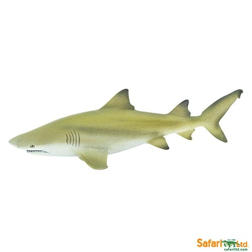 Safari Ltd Lemon Shark (Wild Safari Sea Life) can be purchased online and in any of our toy shops in South Africa