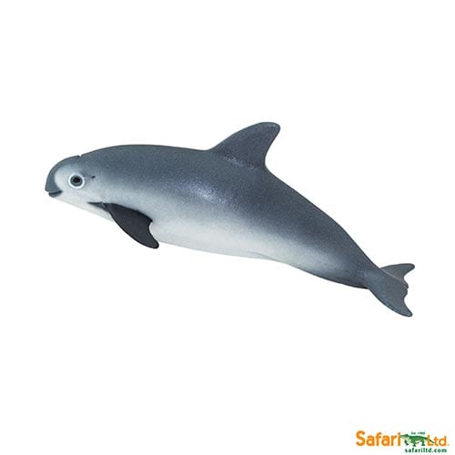Safari Ltd Vaquita Porpoise (Wild Safari Sea Life) 100101 can be purchased online and at any of our toy shops in South Africa