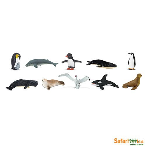 Safari Ltd Antarctica Toob 100113 can be purchased online and in any of our toy shops in South Africa