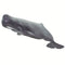 Safari Ltd Sperm Whale (Wild Safari Sea Life) 100209 can be purchased online and in any of our toy shops in South Africa